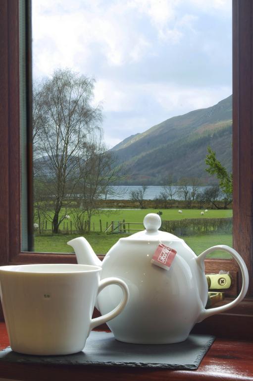 Dolffanog Fawr Hotell Tal-y-llyn Exteriör bild