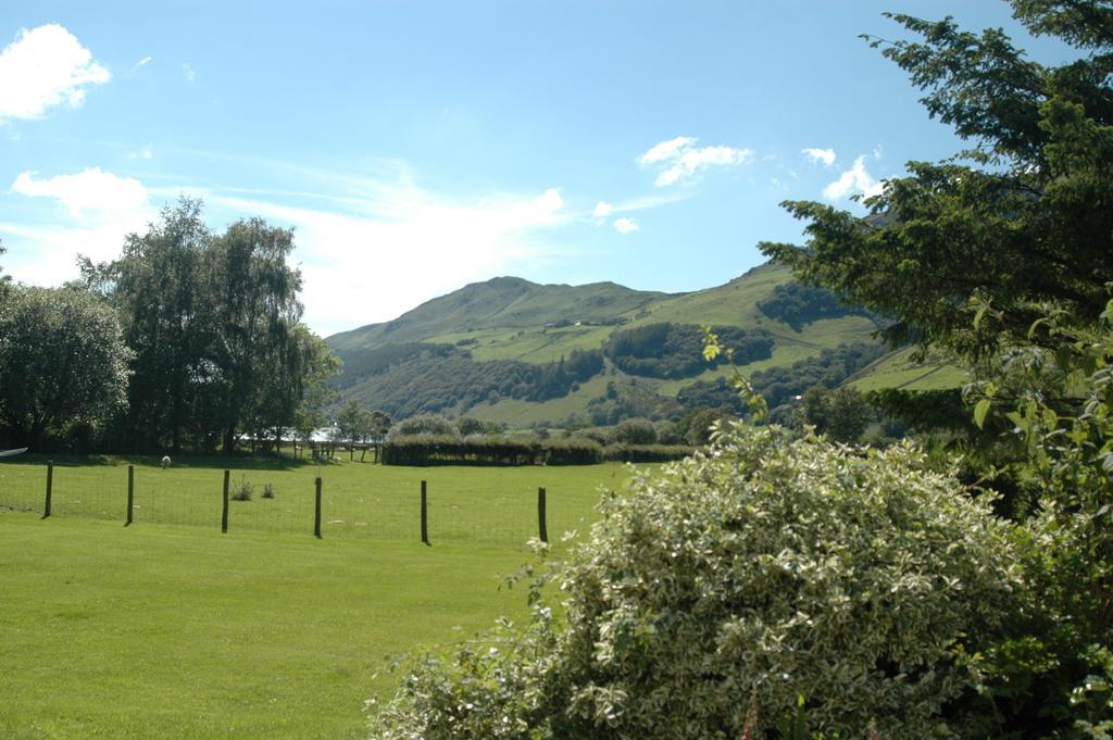 Dolffanog Fawr Hotell Tal-y-llyn Exteriör bild