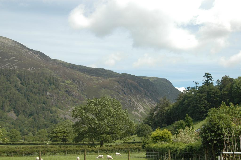 Dolffanog Fawr Hotell Tal-y-llyn Exteriör bild