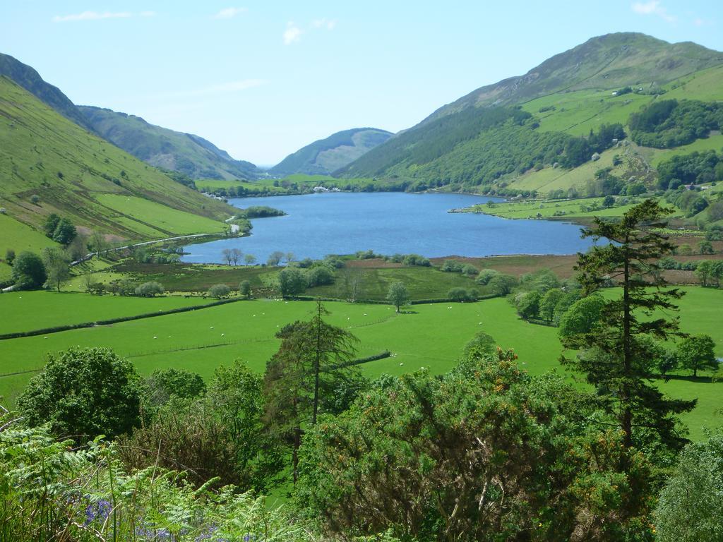 Dolffanog Fawr Hotell Tal-y-llyn Exteriör bild